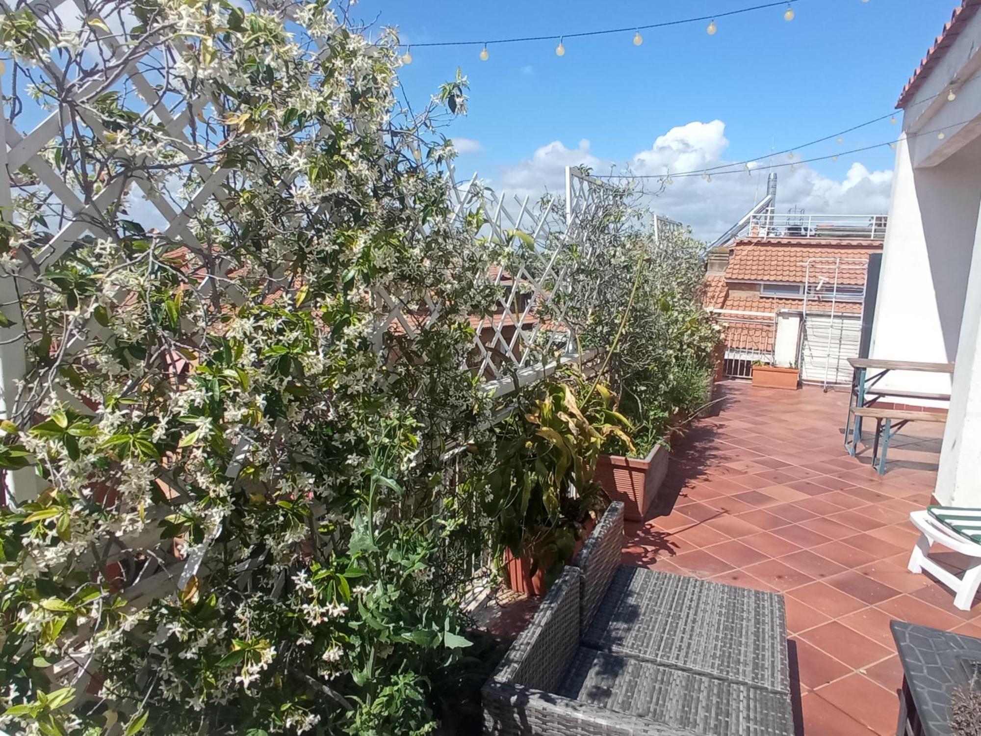 Rooftop Appia Antica,Silenzioso Riservato Two Bedrooms Two Bathrooms Roma Exterior foto